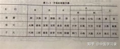 源穴|經絡系統的特定穴